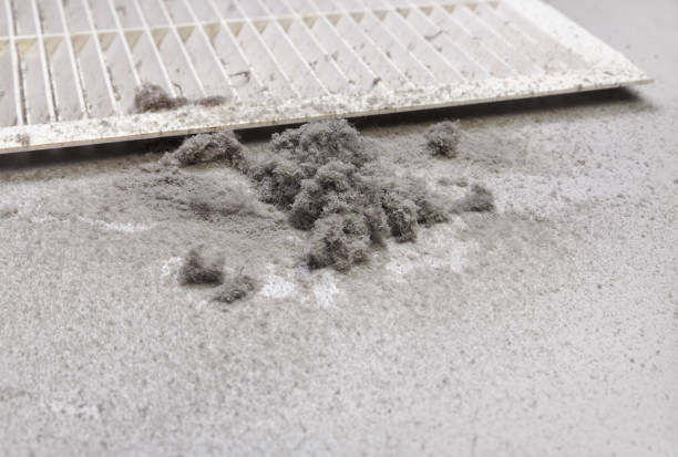 Best HVAC Duct Inspection Services  in Ashdown, AR
